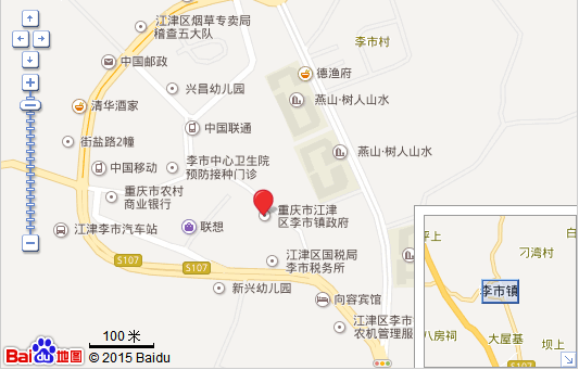 重庆柠檬APP包装